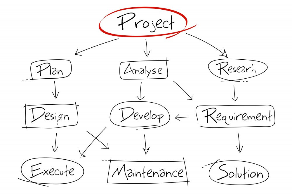 We'll manage your entire biomass project